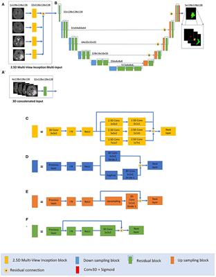 Asymmetric Ensemble of Asymmetric U-Net Models for Brain Tumor Segmentation With Uncertainty Estimation